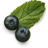 berry transparent image